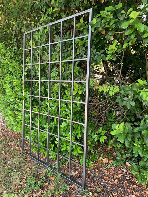 steel trellis for sale